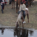 Березина 2019