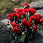 Цветы на Острове слез