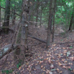 Исток Немана Неманец