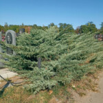 Памятник генерал-лейтенанту Зайцеву Льву Михайловичу Памятник генерал-лейтенанту Зайцеву Льву Михайловичу