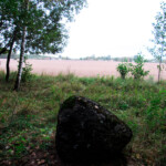 Исток Немана