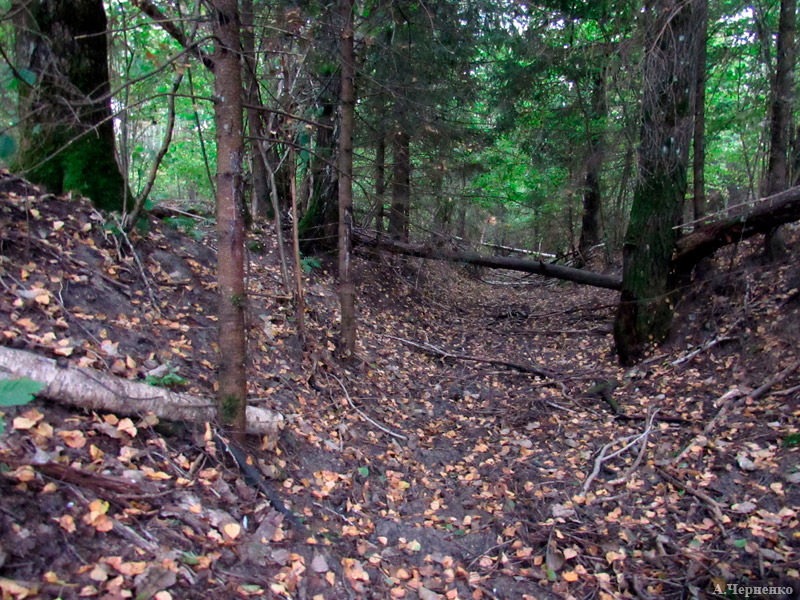 Сухое русло Неманца