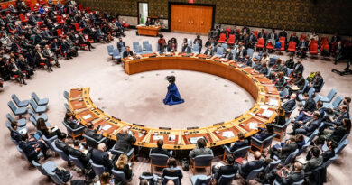 Совет безопасности ООН о прекращении огня